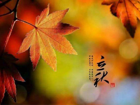 秋來了，莫慌！智慧主機依舊值得推薦的